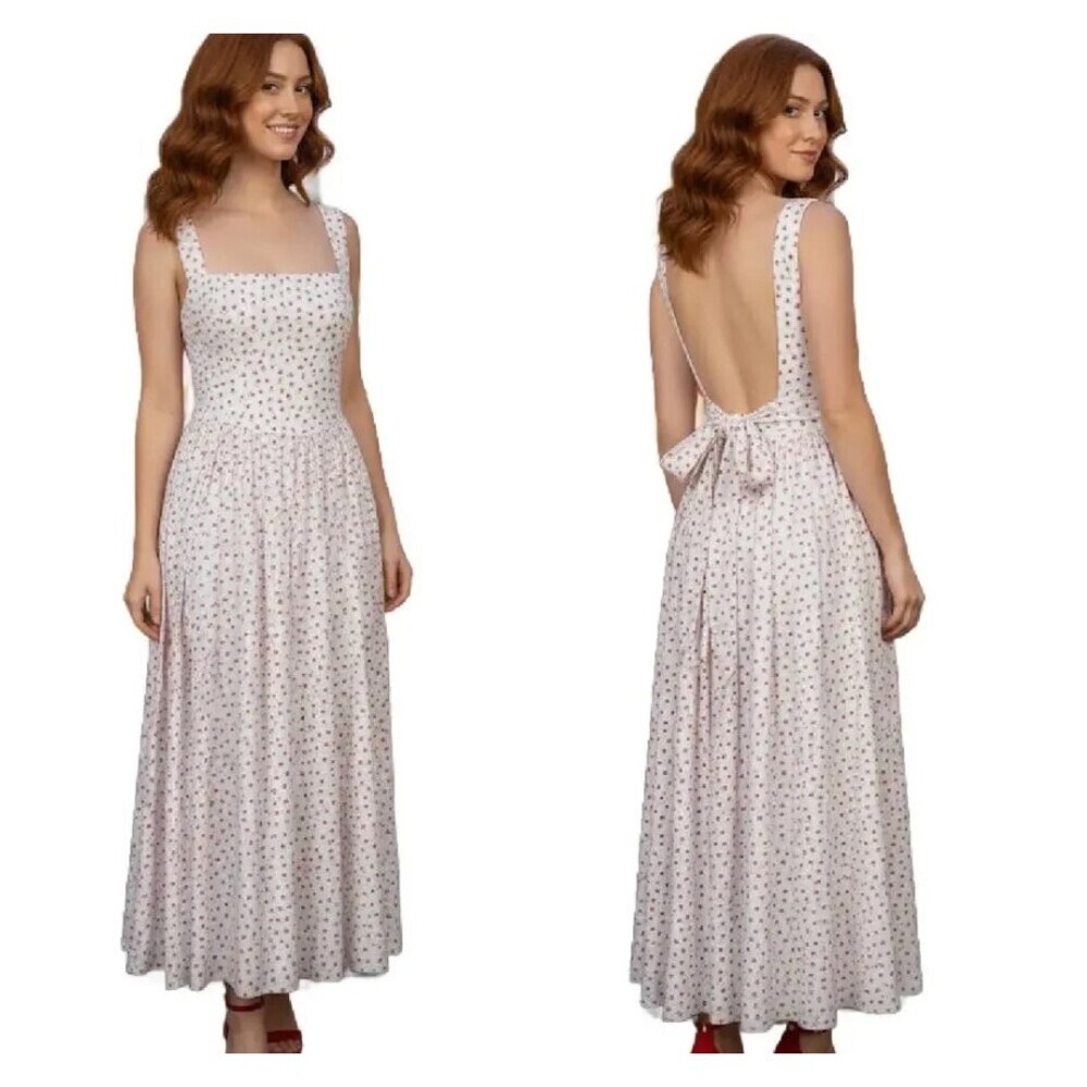 Caroline Constas Dainty Red Rose Floral Maxi Dress Open Back Bow Large